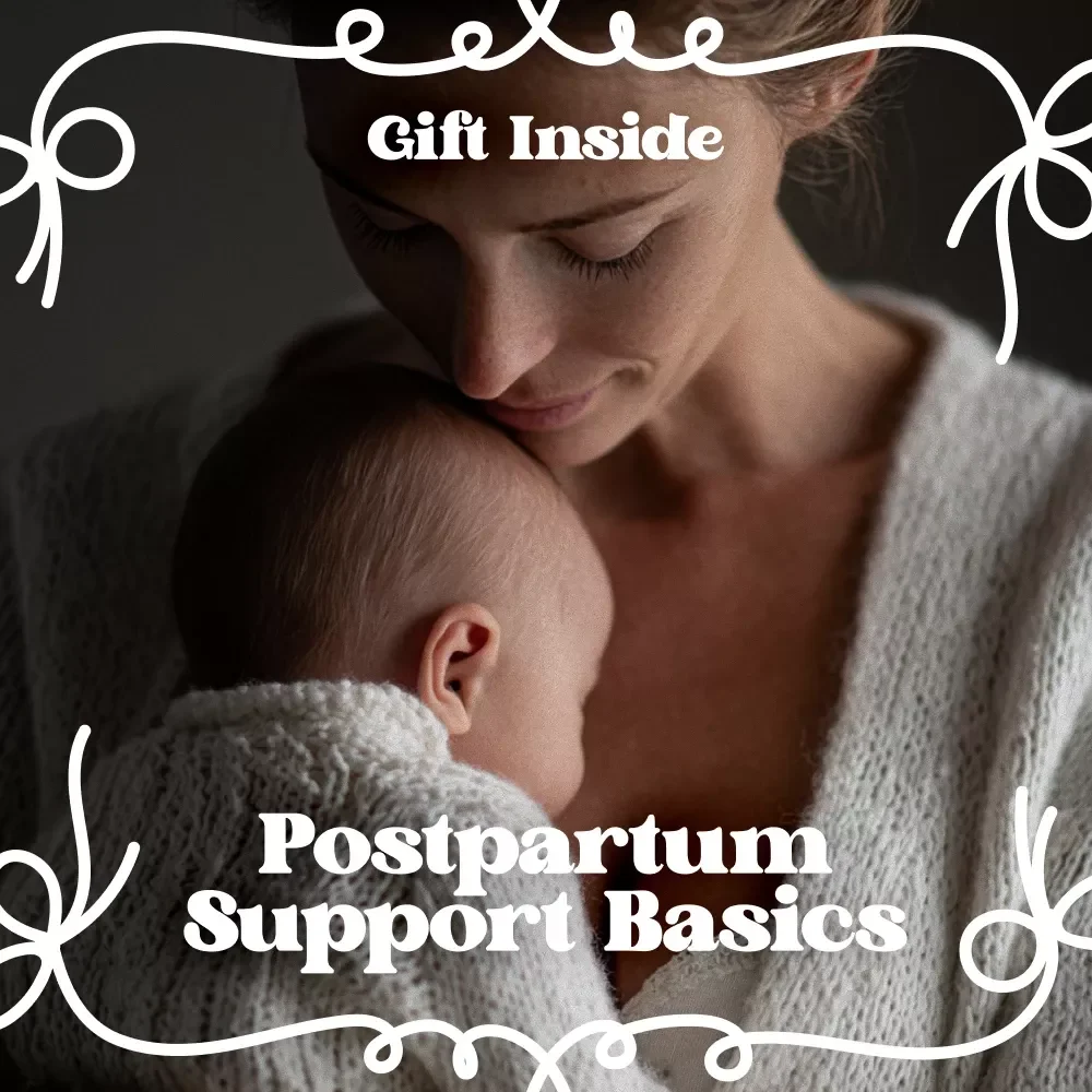 Postpartum Support Basics – Essential Post-Birth Care Ebook, New Parent Survival Guide, Self-Care & Support System Blueprint