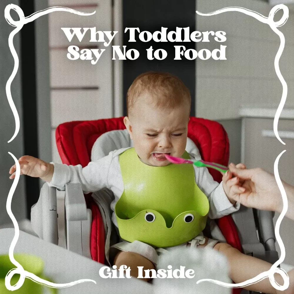 Why Toddlers Say No to Food – A Gentle Guide to Understanding Toddler Refusing Meals Causes