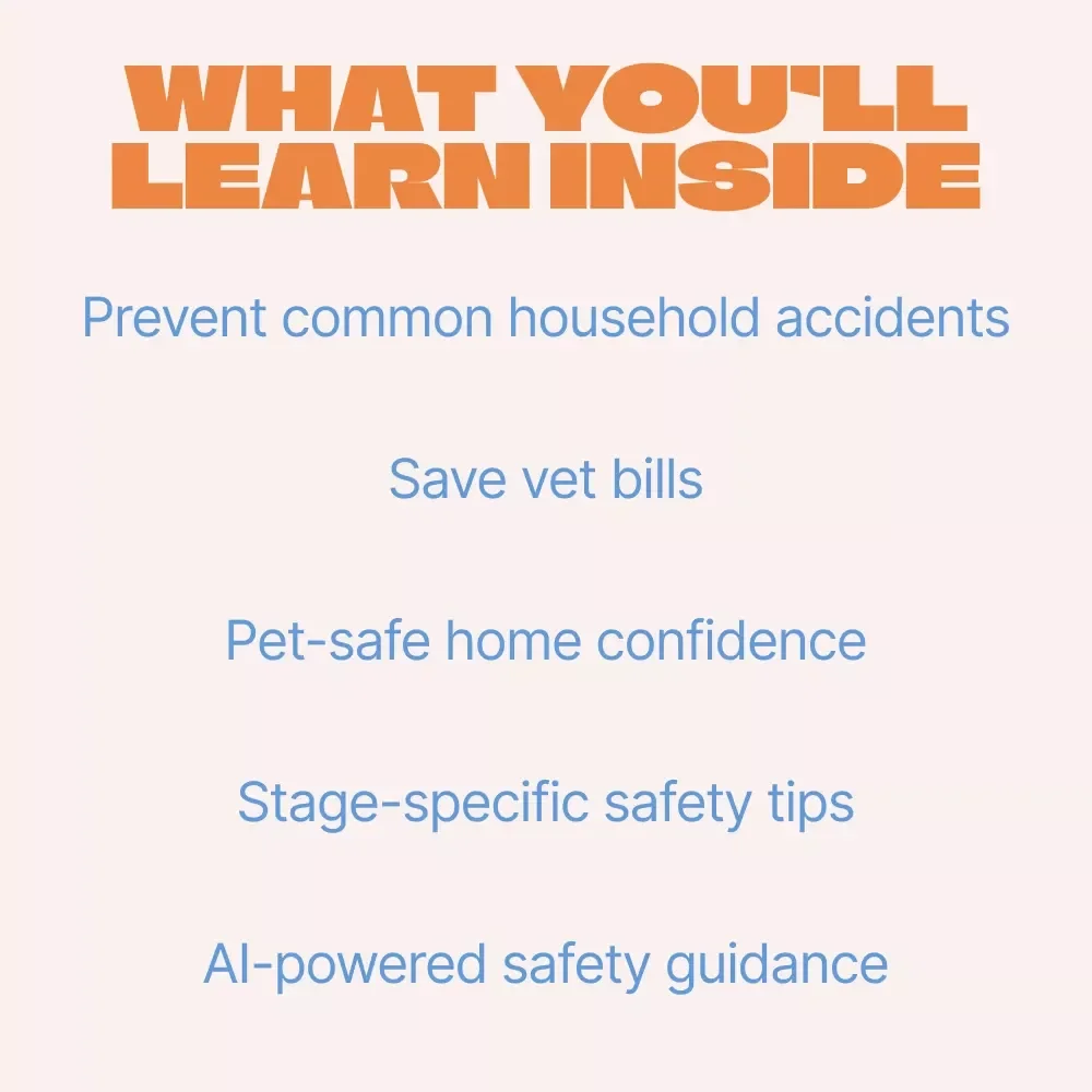 Safe at Home: Pet-Proofing Basics | Easy Home Safety Guide for Dogs & Cats | Practical pet proofing basics eBook for New & Experienced Pet Owners