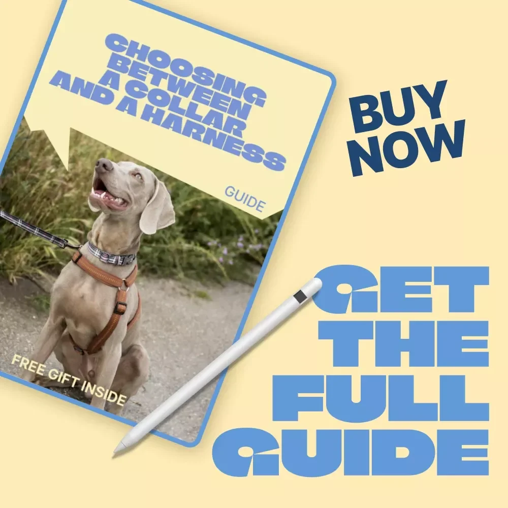 Choosing Between a Collar and a Harness – Practical Pet Owner’s Guide | Smart pet collar vs harness comparison for Safer Walks