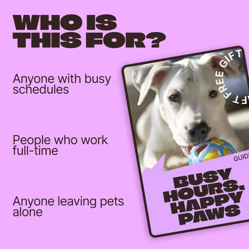 Busy Hours, Happy Paws – A Practical Guide to Toys for Pets Left Alone | Stress-Free Solo Play Planning for Dogs & Cats