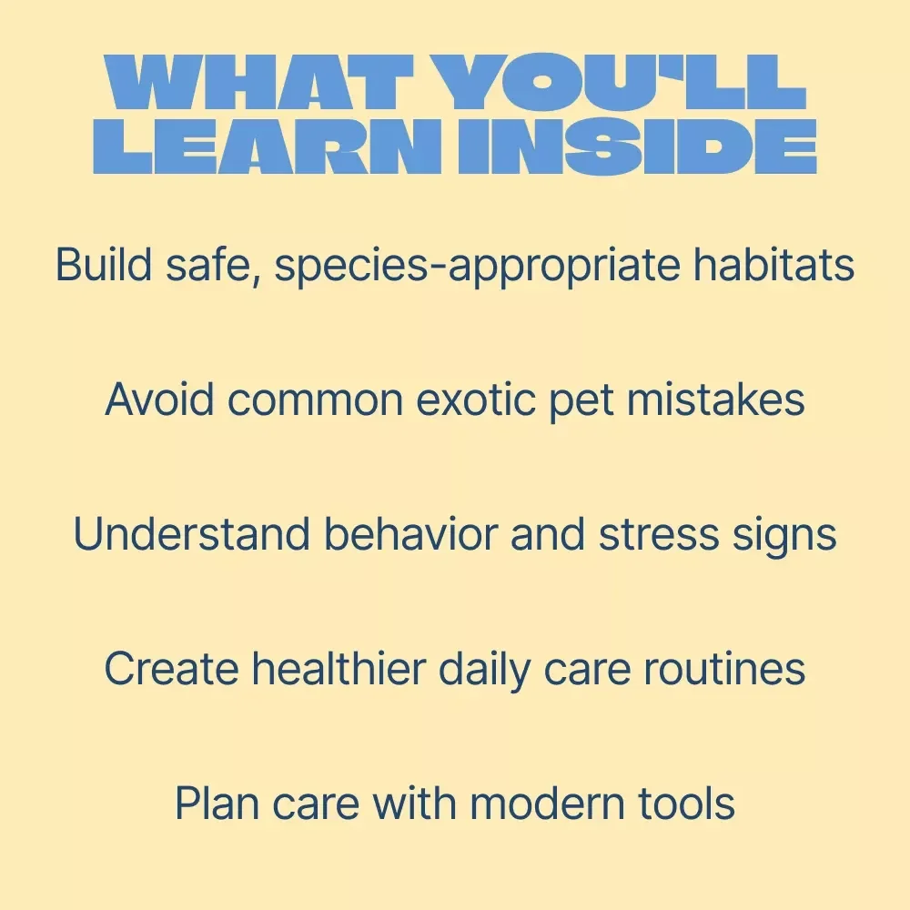 Small Creatures, Big Care – Exotic Pet Care Basics eBook for Beginners | Complete Guide to Habitat, Nutrition & Daily Care
