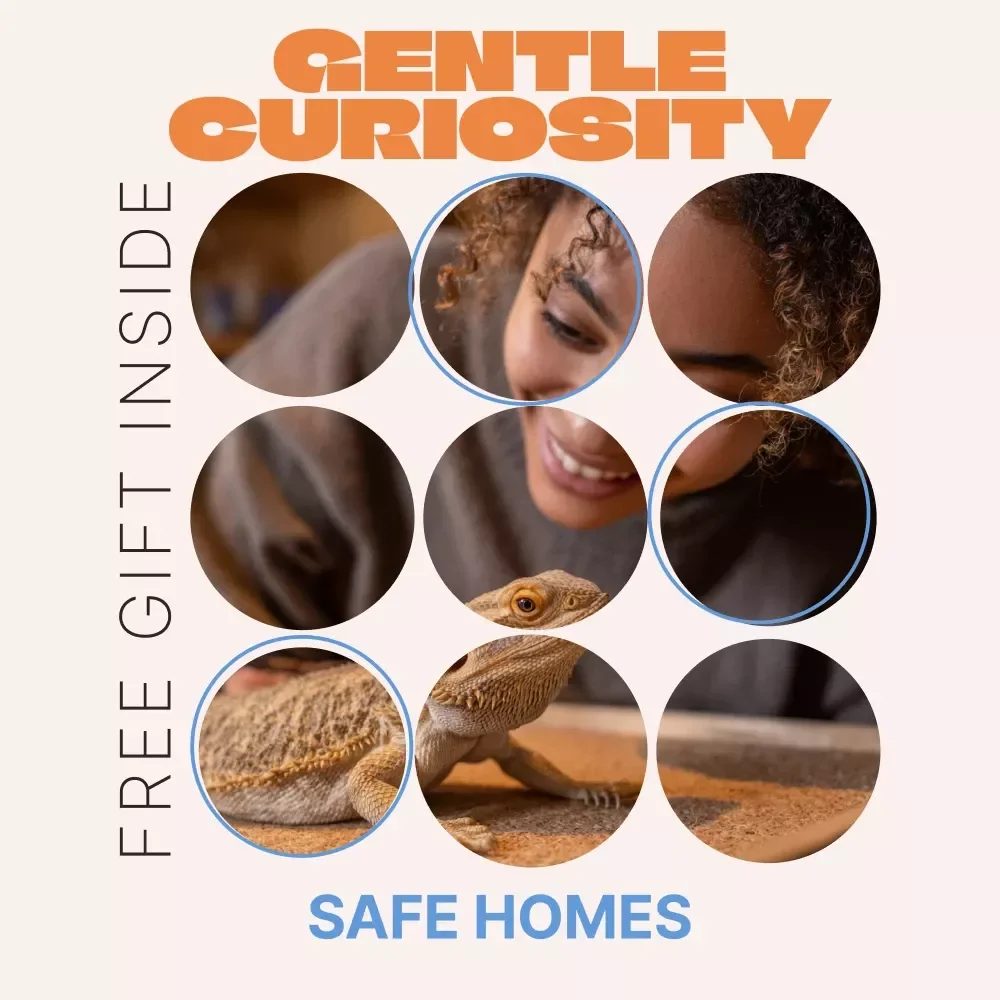 Gentle Curiosity, Safe Homes – Ebook Guide for Child Safety With Exotic Pets | Family Safety, Responsible Ownership, Home Habits
