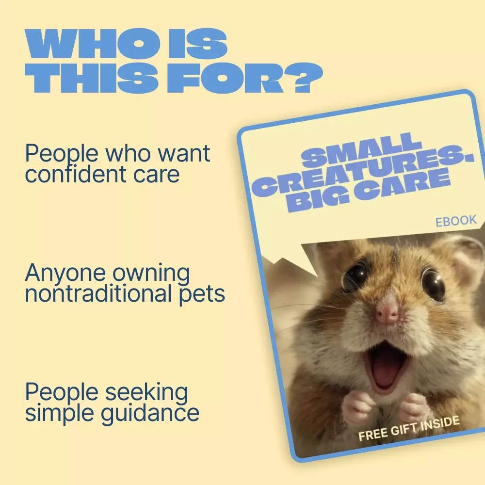 Small Creatures, Big Care – Exotic Pet Care Basics eBook for Beginners | Complete Guide to Habitat, Nutrition & Daily Care