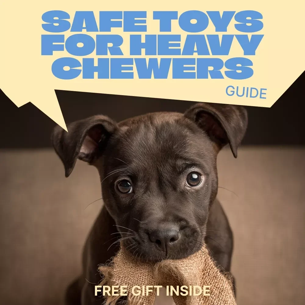 Built for Big Chewers, Not Broken Teeth – Practical Guide to Safe Toys for Heavy Chewers, Smart Toy Selection, and Injury Prevention for Power Chewing Dogs
