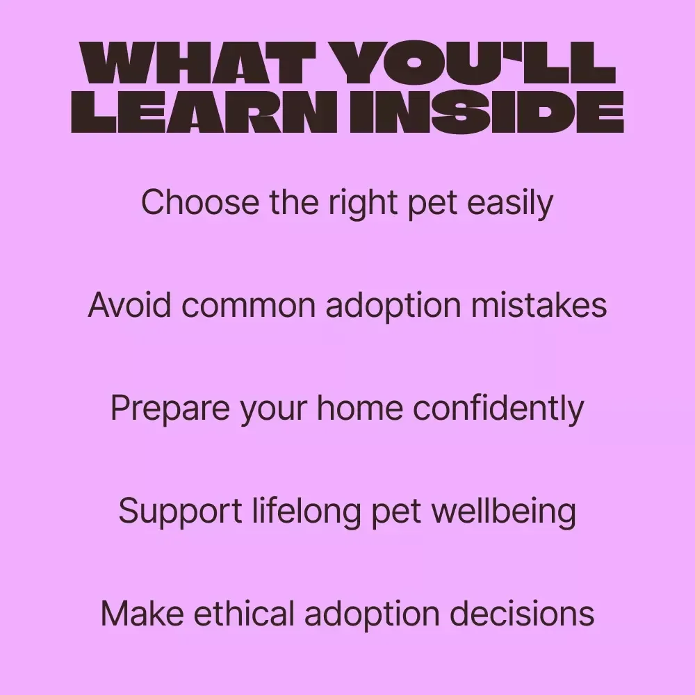 Your Guide to Responsible Pet Adoption | Practical Ebook on how to adopt a pet responsibly with Confidence