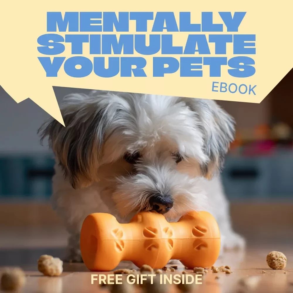 Creative Ways to Mentally Stimulate Your Pets | Practical Ebook Guide for Mental Stimulation for Pets | Fun Brain Games, Enrichment Ideas & Smart Training Activities