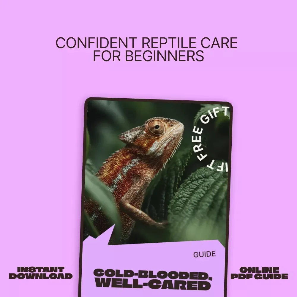 Cold-Blooded, Well-Cared | Reptile Care Beginner Guide for New Owners | Step-by-Step Habitat, Feeding & Daily Care Digital Guide