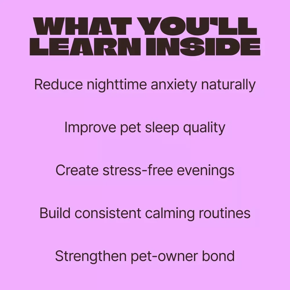 Creating the Perfect Nighttime Routine for Pets – Calm Evening Guide for Better Sleep, Behavior & Stress-Free Nights | Digital Download
