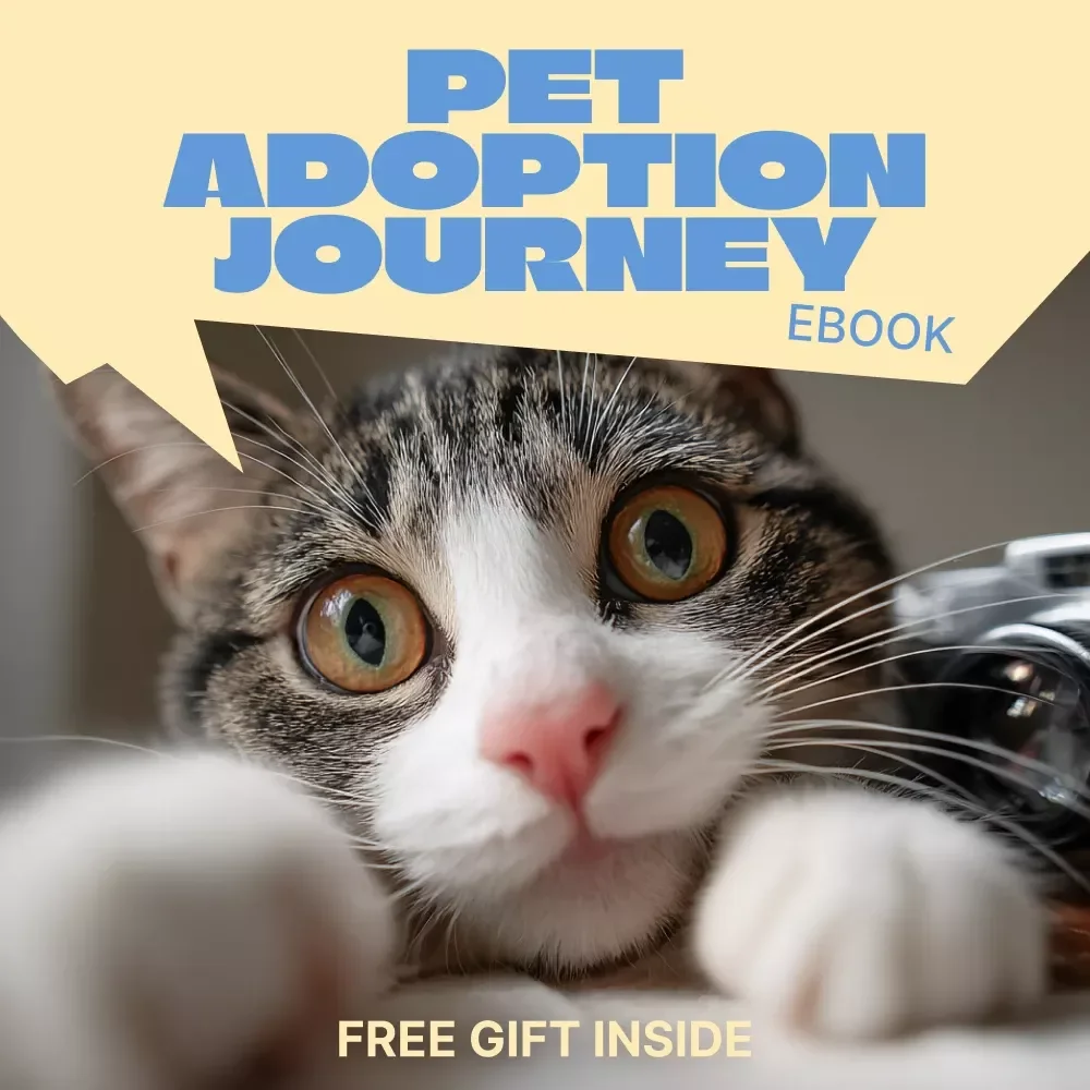 Forever Home: Your Pet Adoption Journey | Step-by-Step Ebook Guide to the Pet Adoption Process for New & Future Pet Parents