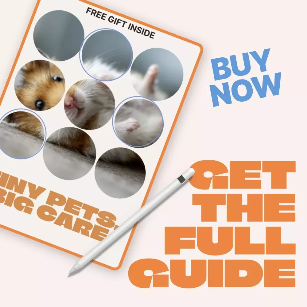 Tiny Pets, Big Care – Beginner Rodent Care Guide | rodent care beginner tips | Easy Setup, Daily Care & Confidence for New Owners