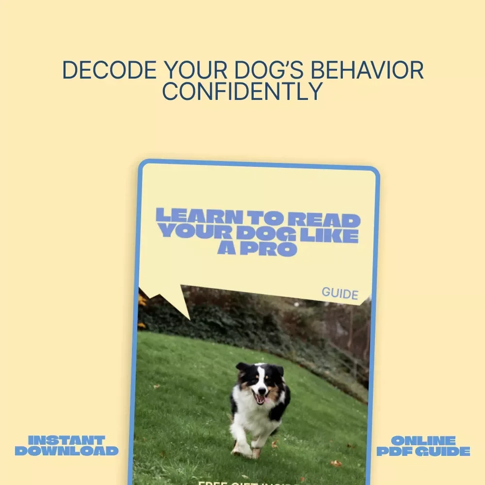 Learn to Read Your Dog Like a Pro – Digital Guide to Understanding Dog Behavior Signals for Calm, Confident Dog Owners