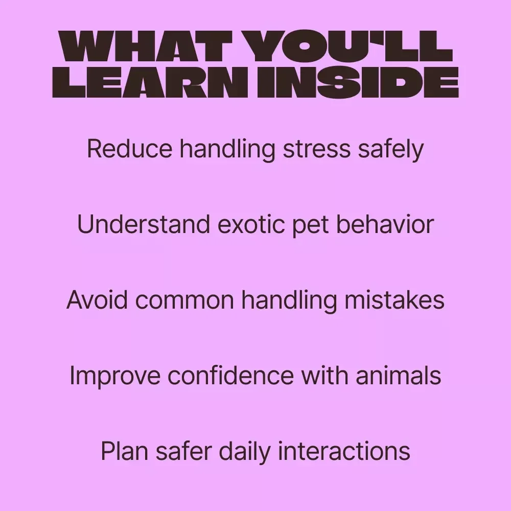 Calm Hands, Wild Hearts – A Practical Guide to Safe Handling Exotic Pets for Confident, Responsible Owners