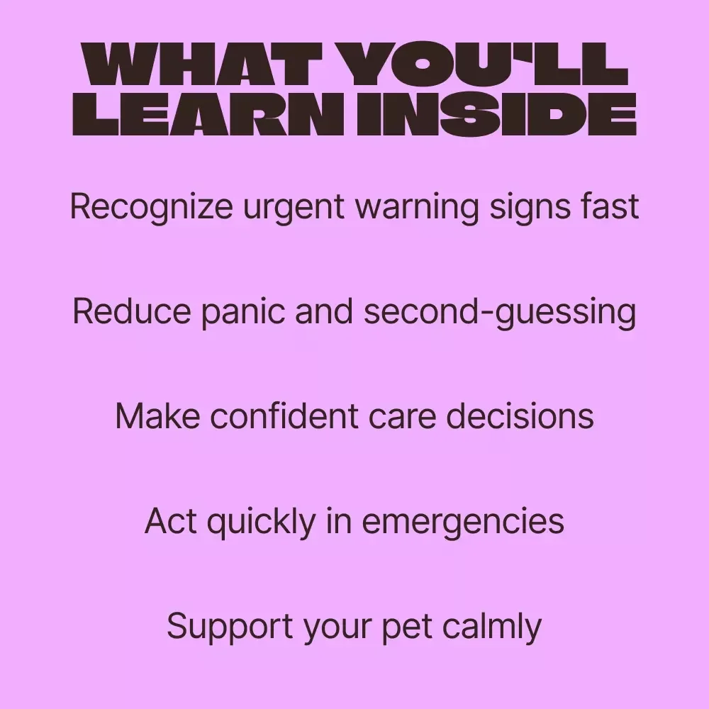 Is It Time to Call the Vet? | Practical eBook Guide for Pet Owners Wondering When to Call the Vet