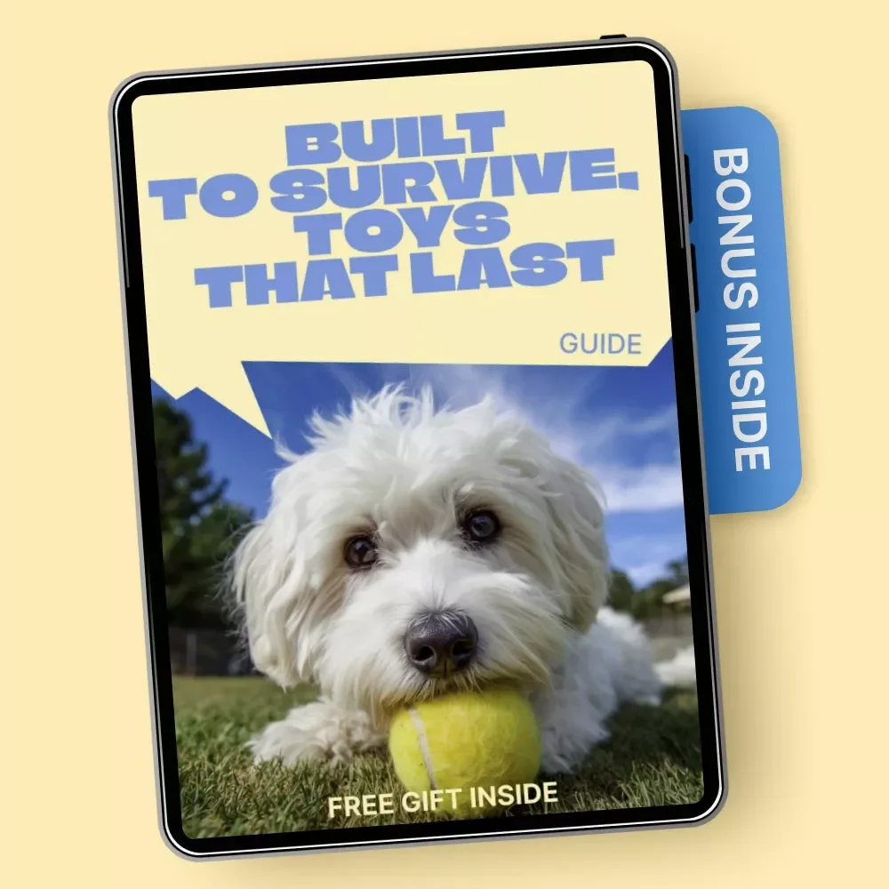Built to Survive, Toys That Last | Practical Guide to the Best Toys for Destructive Pets | Smart Chewing Solutions for Tough Chewers