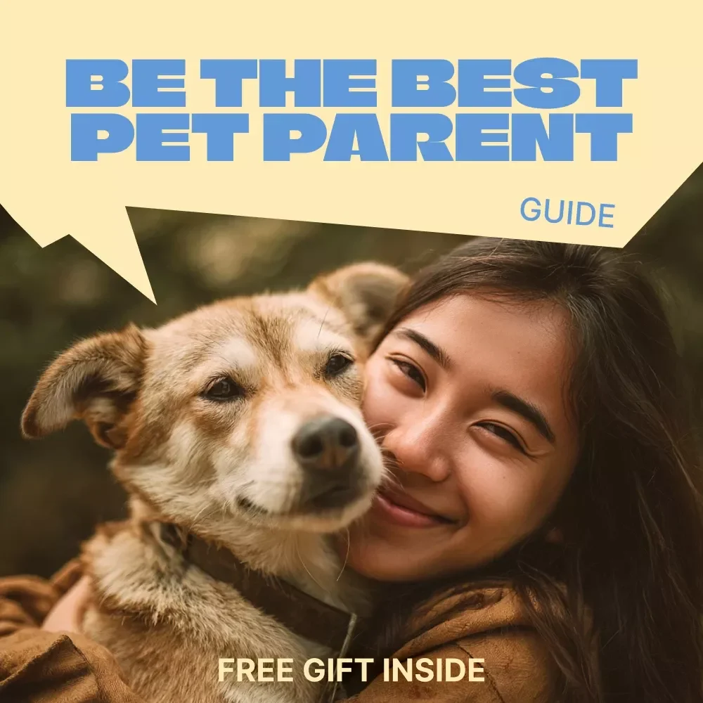 Learning to Be the Best Pet Parent | Practical Guide to Self Education for Pet Owners, Smarter Pet Care & Lifelong Learning