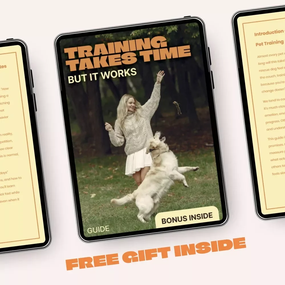 Training Takes Time But It Works – A Realistic Pet Training Guide on How Long Pet Training Really Takes | Simple, Stress-Free Progress Plan