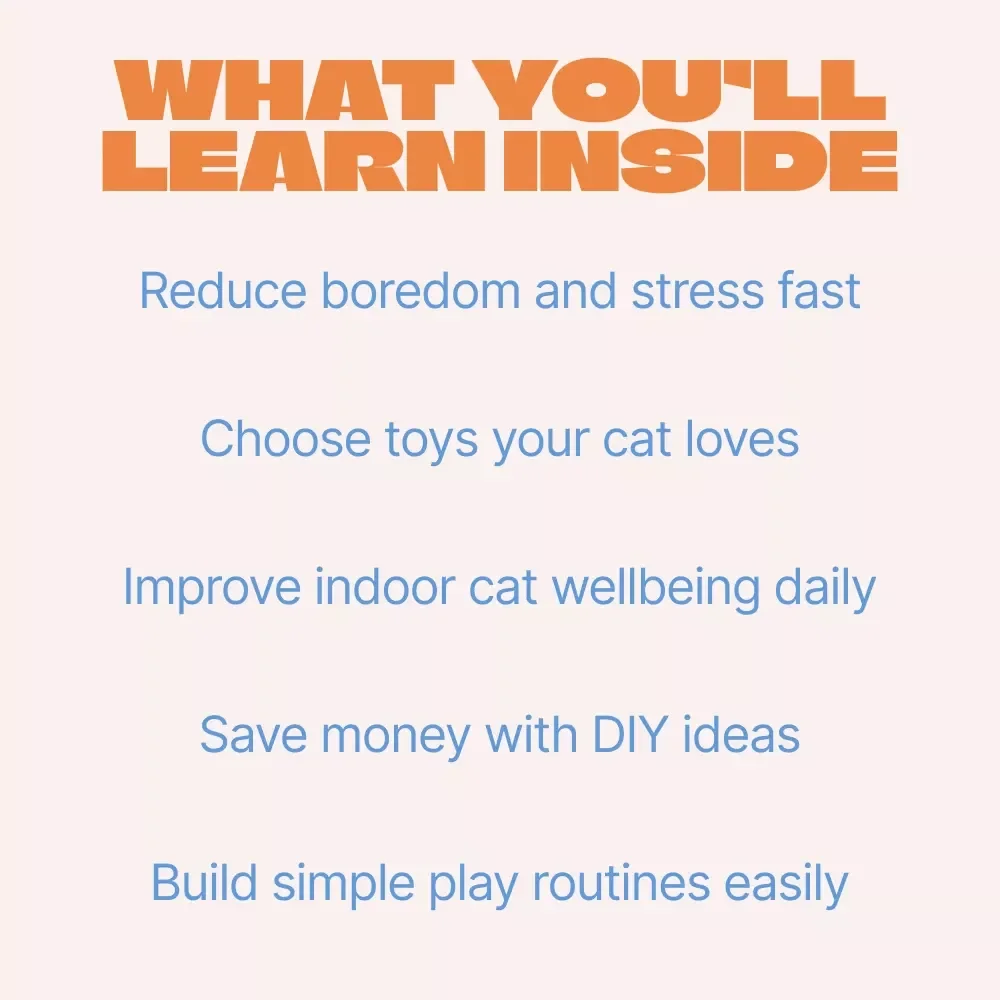 Busy Paws, Happy Minds – A Practical eBook Guide to Mental Stimulation Toys for Cats | Enrichment Ideas for Curious Cats