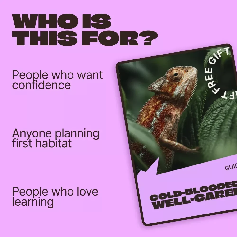 Cold-Blooded, Well-Cared | Reptile Care Beginner Guide for New Owners | Step-by-Step Habitat, Feeding & Daily Care Digital Guide