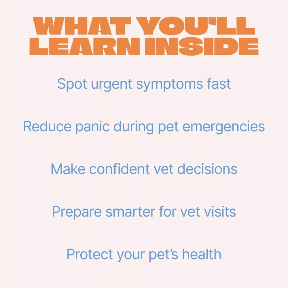 When Pet Symptoms Need a Vet – Essential eBook Guide to Pet Symptoms That Need Vet Care, Emergency Signs, Smart Vet Decisions for Dogs and Cats