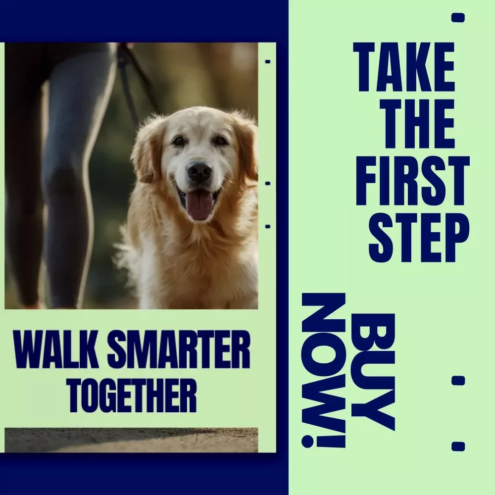 Walk Smarter Together – A Simple, Fun Checklist for Walking Workouts with Pets | Daily Dog & Owner Fitness Routine