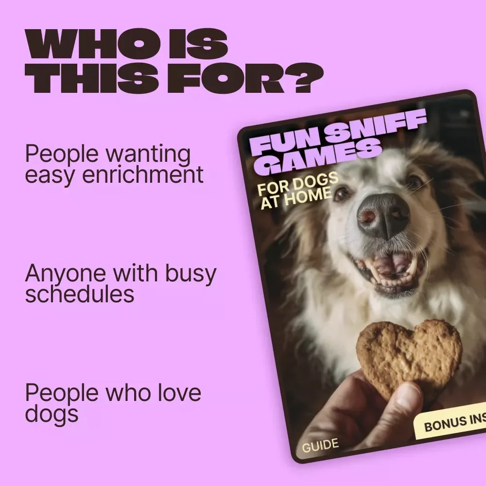 Fun Sniff Games for Dogs at Home | Easy Sniff Games for Dogs at Home Guide | Enrichment & Brain Games for Happy Dogs