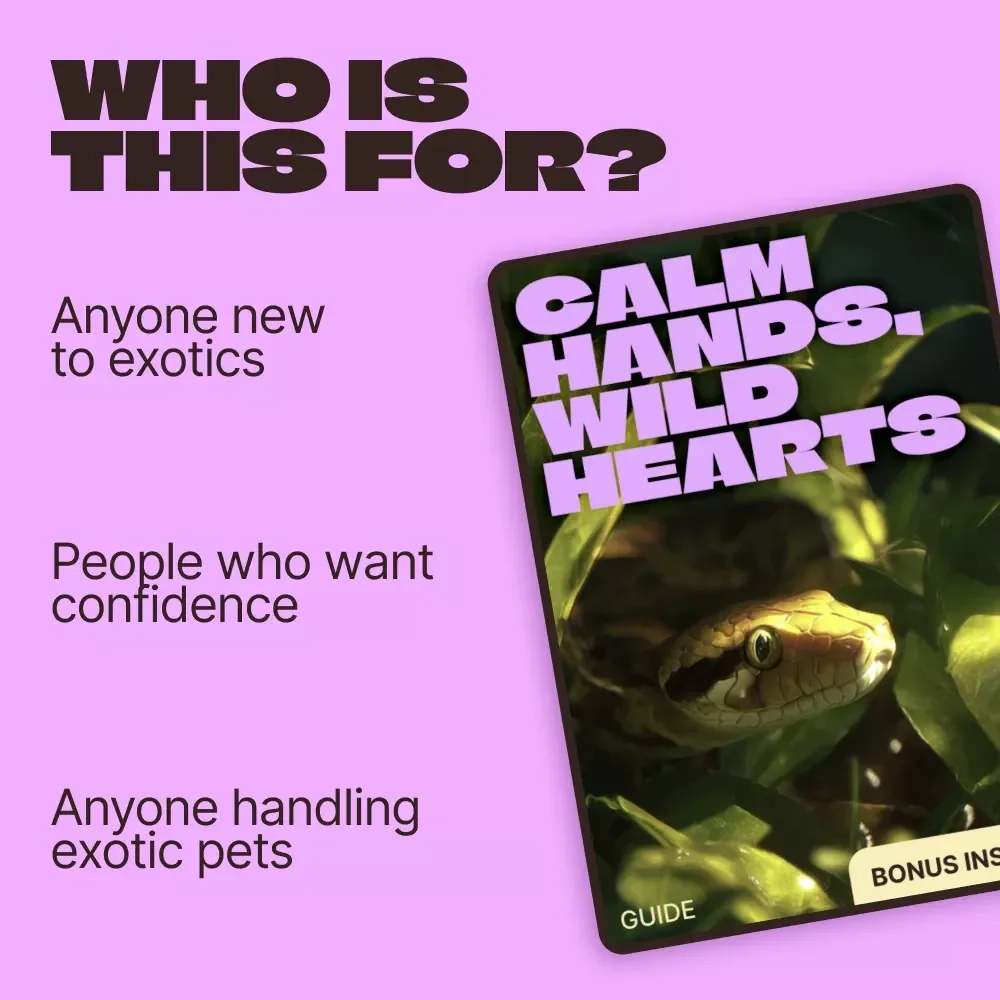 Calm Hands, Wild Hearts – A Practical Guide to Safe Handling Exotic Pets for Confident, Responsible Owners