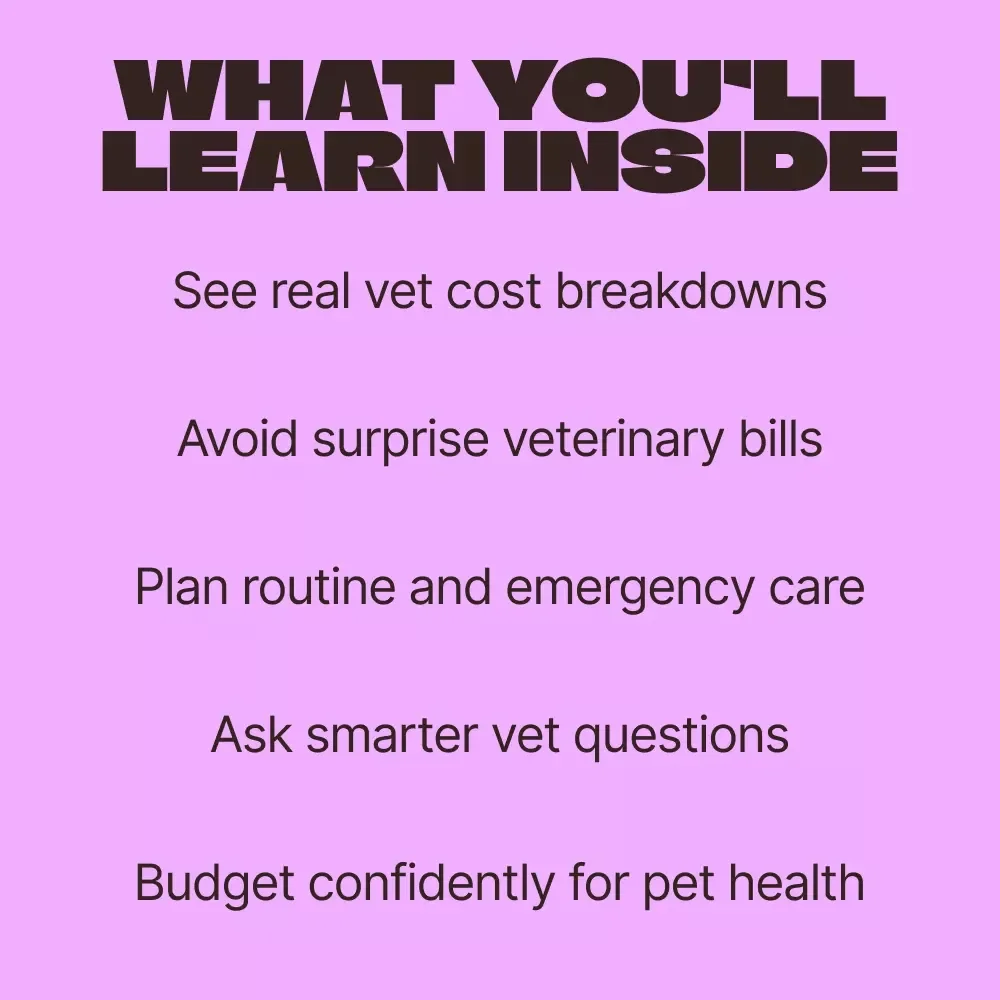 The Real Cost of a Vet Visit | Vet Visit Cost Breakdown eBook for Pet Owners, Budgeting Guide & Smart Care Planning