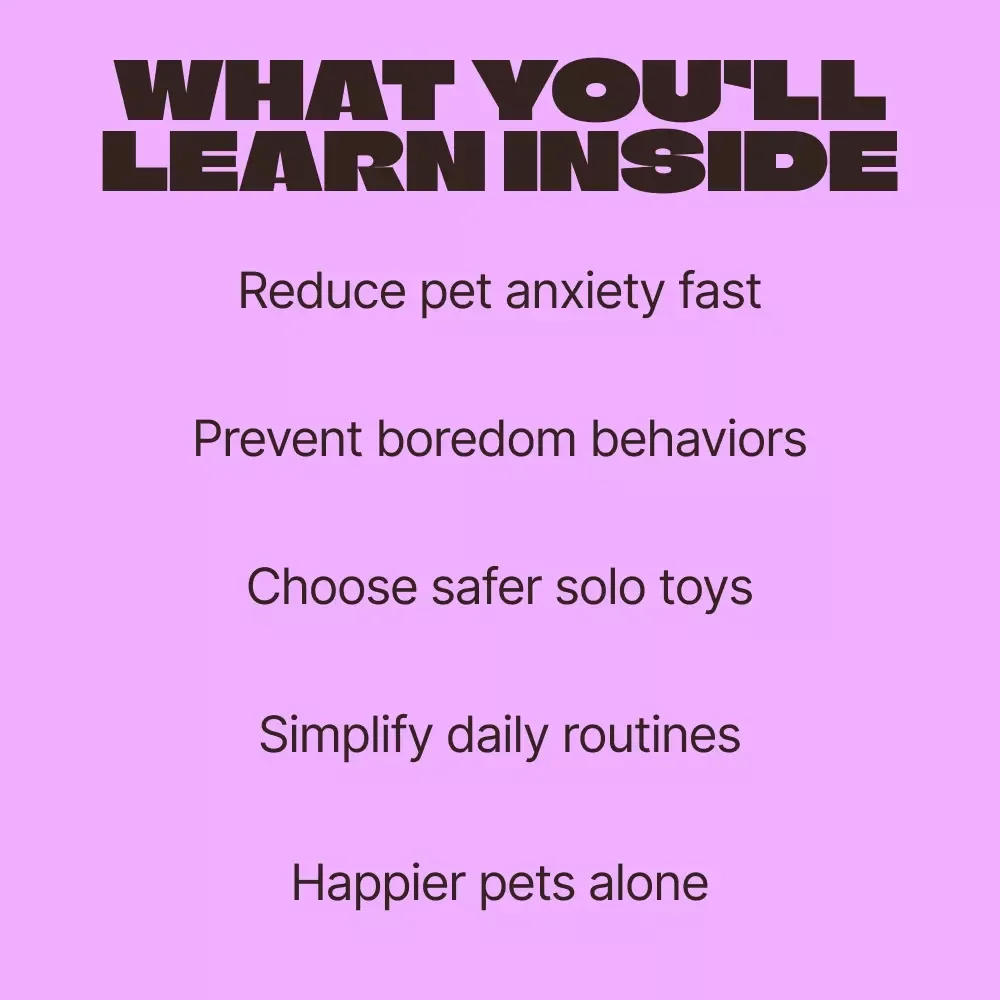Busy Hours, Happy Paws – A Practical Guide to Toys for Pets Left Alone | Stress-Free Solo Play Planning for Dogs & Cats