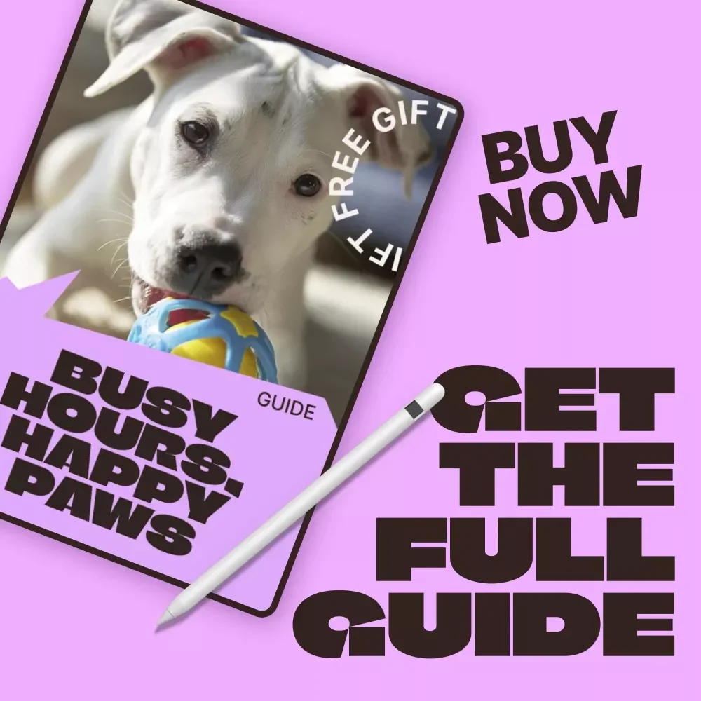 Busy Hours, Happy Paws – A Practical Guide to Toys for Pets Left Alone | Stress-Free Solo Play Planning for Dogs & Cats