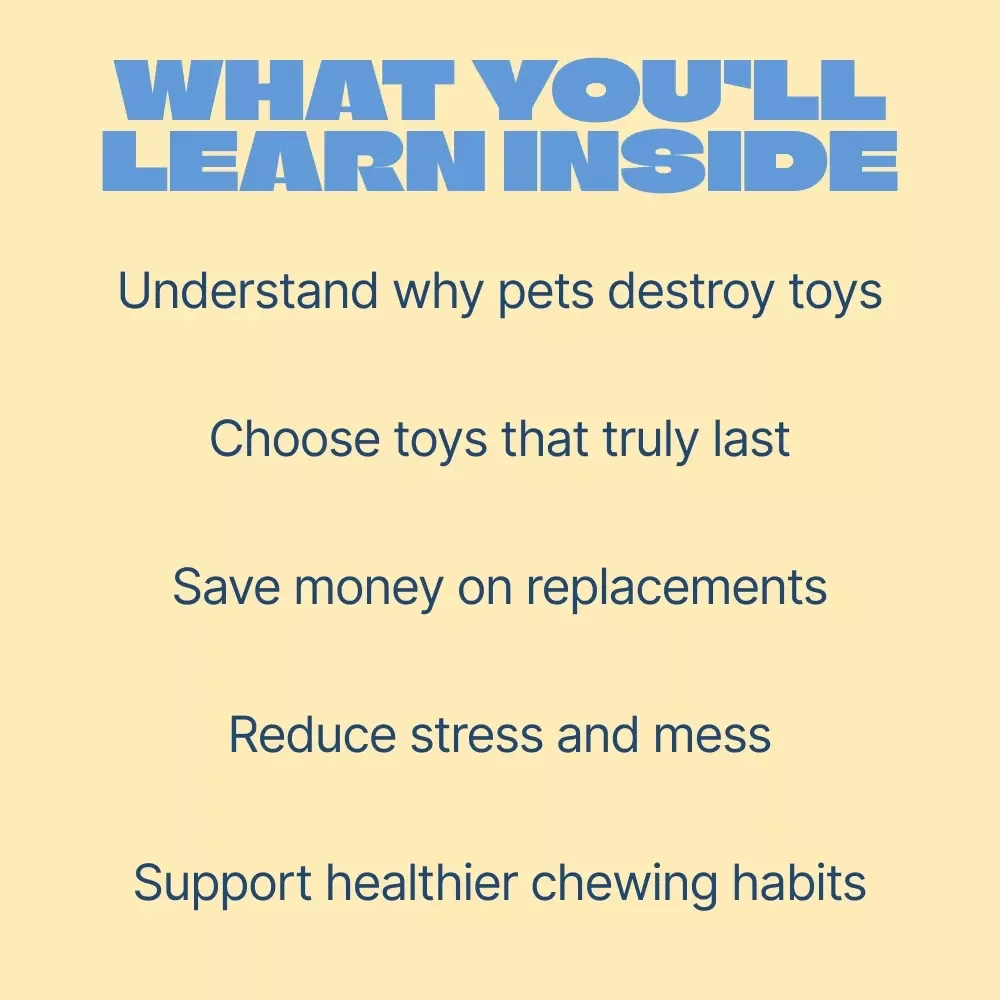 Built to Survive, Toys That Last | Practical Guide to the Best Toys for Destructive Pets | Smart Chewing Solutions for Tough Chewers