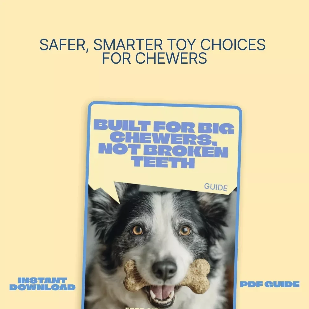 Built for Big Chewers, Not Broken Teeth – Practical Guide to Safe Toys for Heavy Chewers, Smart Toy Selection, and Injury Prevention for Power Chewing Dogs