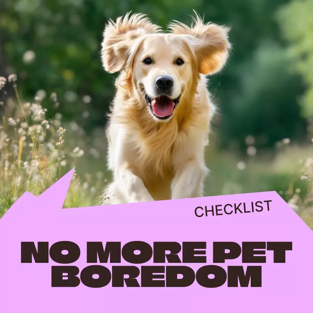 No More Pet Boredom – Simple Checklist to Fix Pets Bored Even With Toys | Daily Fun & Enrichment Guide