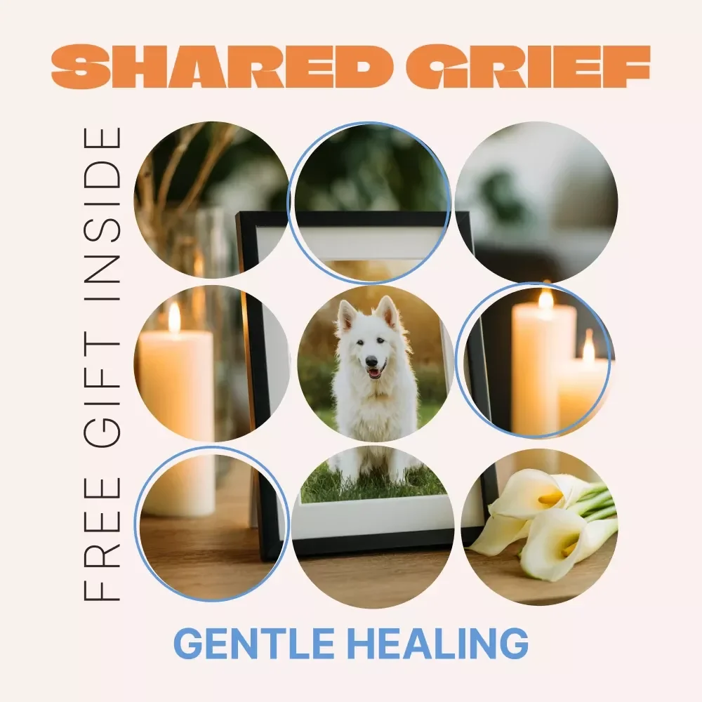 Shared Grief, Gentle Healing: A Compassionate eBook for Pet Loss Support Communities and Emotional Recovery