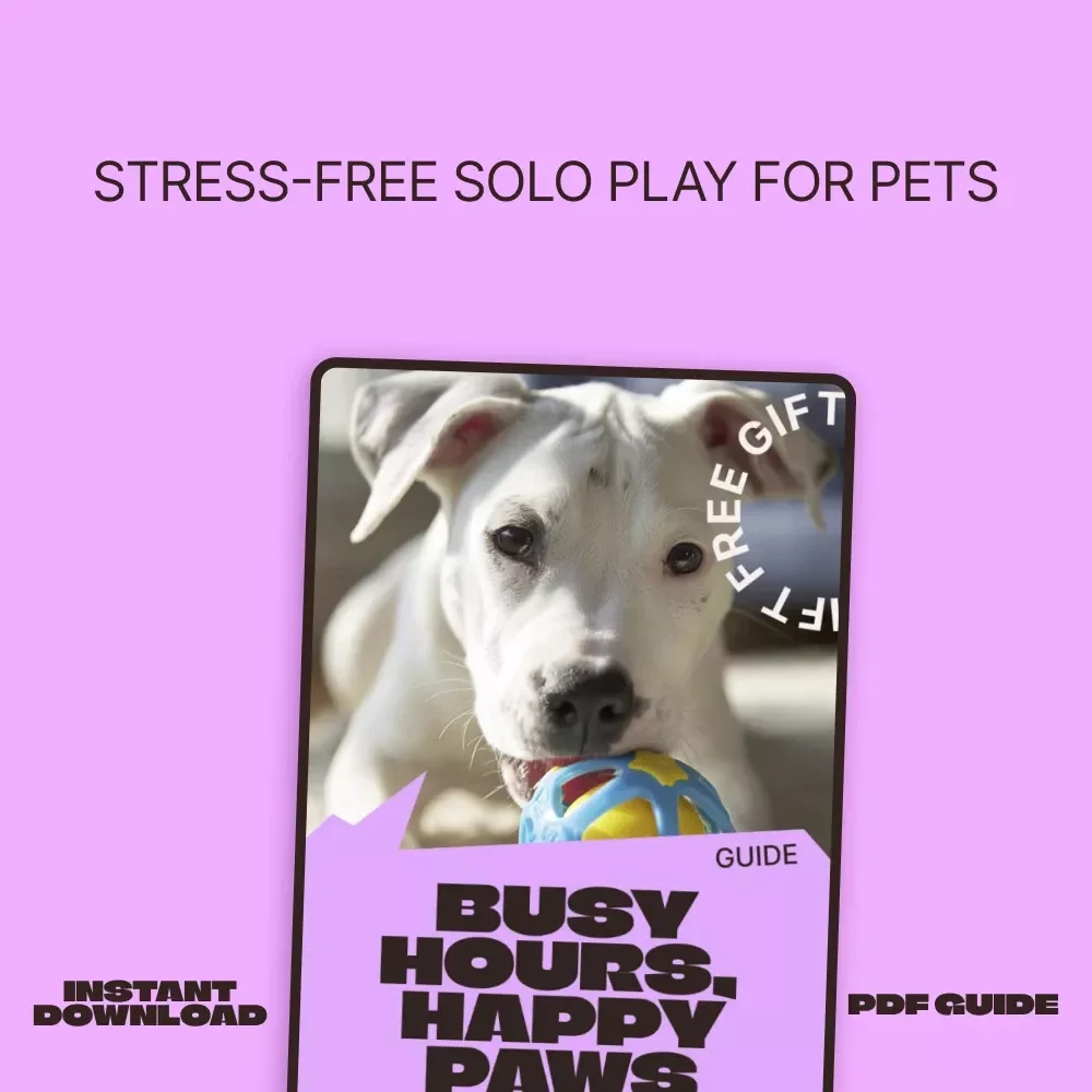 Busy Hours, Happy Paws – A Practical Guide to Toys for Pets Left Alone | Stress-Free Solo Play Planning for Dogs & Cats