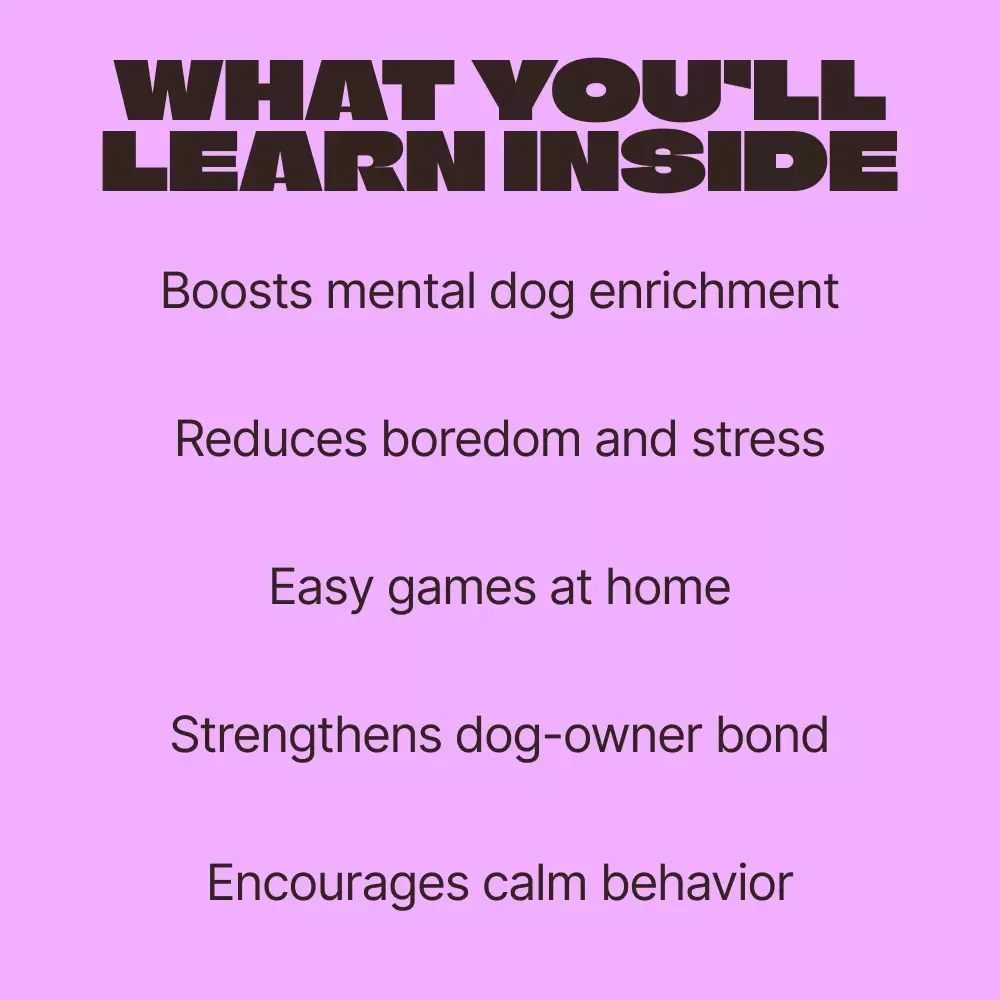 Fun Sniff Games for Dogs at Home | Easy Sniff Games for Dogs at Home Guide | Enrichment & Brain Games for Happy Dogs