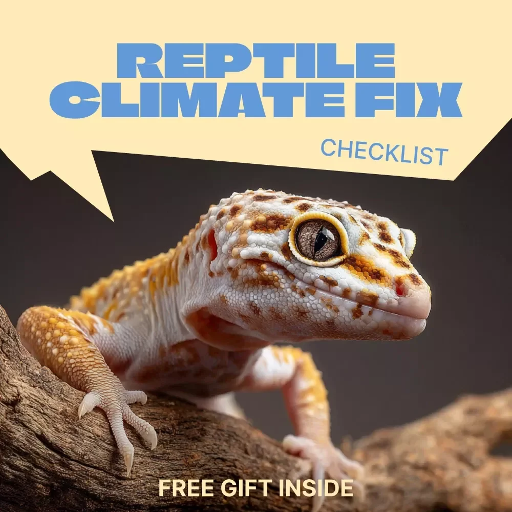 Reptile Climate Fix – Temperature and Humidity for Reptiles Checklist | Easy Habitat Setup Guide for Healthy Reptiles