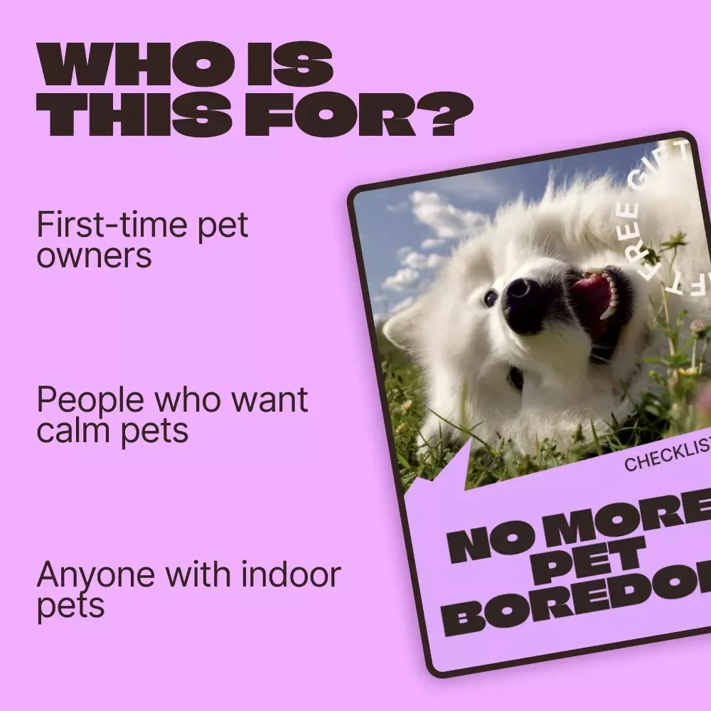 No More Pet Boredom – Simple Checklist to Fix Pets Bored Even With Toys | Daily Fun & Enrichment Guide