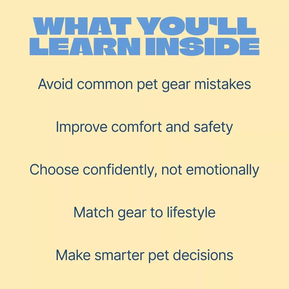 Choosing Between a Collar and a Harness – Practical Pet Owner’s Guide | Smart pet collar vs harness comparison for Safer Walks