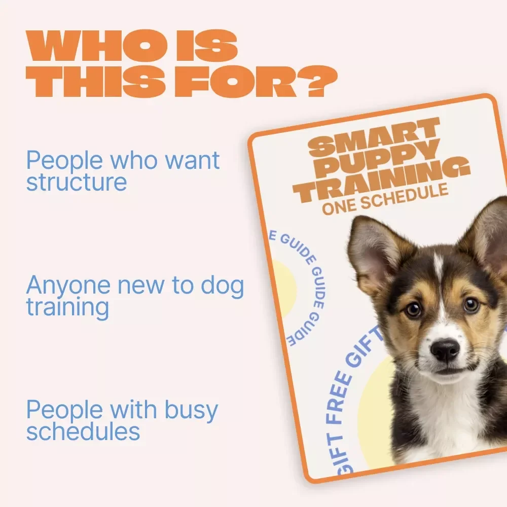 Smart Puppy Training, One Schedule – AI Puppy Training Schedule Guide for Calm Routines, Better Behavior & Confident New Dog Owners