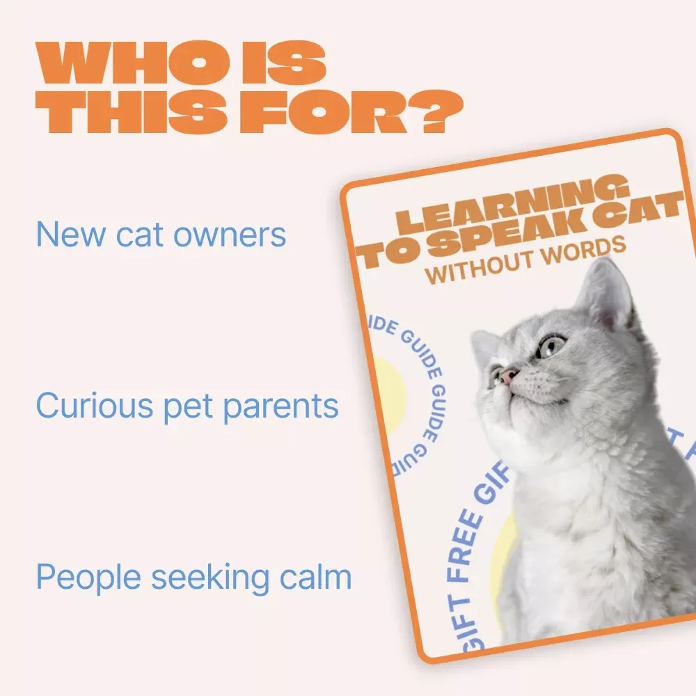 Learning to Speak Cat Without Words – Practical Guide to Understanding Cat Behavior Signals, Decode Feline Body Language, Stress Signs & Daily Communication