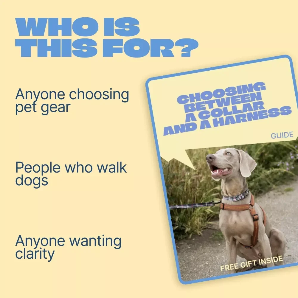 Choosing Between a Collar and a Harness – Practical Pet Owner’s Guide | Smart pet collar vs harness comparison for Safer Walks