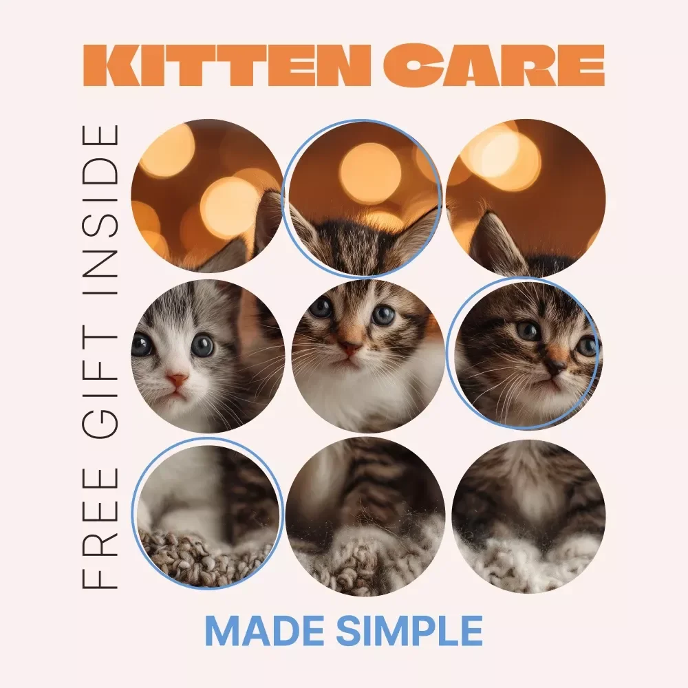 Smart Kitten Care Made Simple – Digital Ebook Guide with AI Kitten Care Planner for New Cat Owners