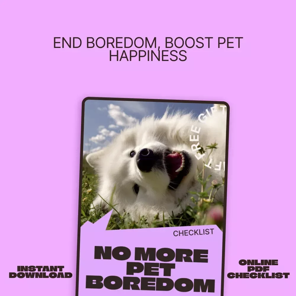 No More Pet Boredom – Simple Checklist to Fix Pets Bored Even With Toys | Daily Fun & Enrichment Guide