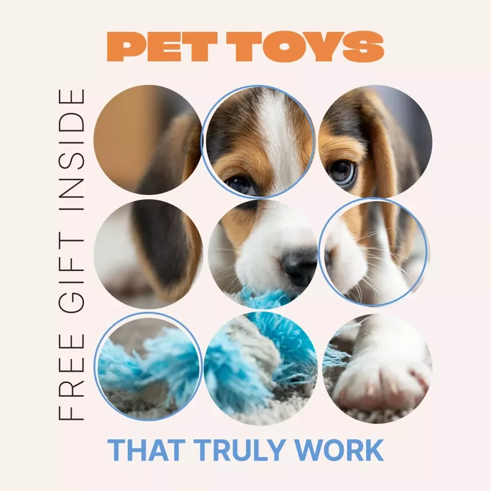 Engagement Or Novelty, Pet Toys That Truly Work – A Smart Guide to engagement vs novelty pet toys for Dogs & Cats | Digital Download
