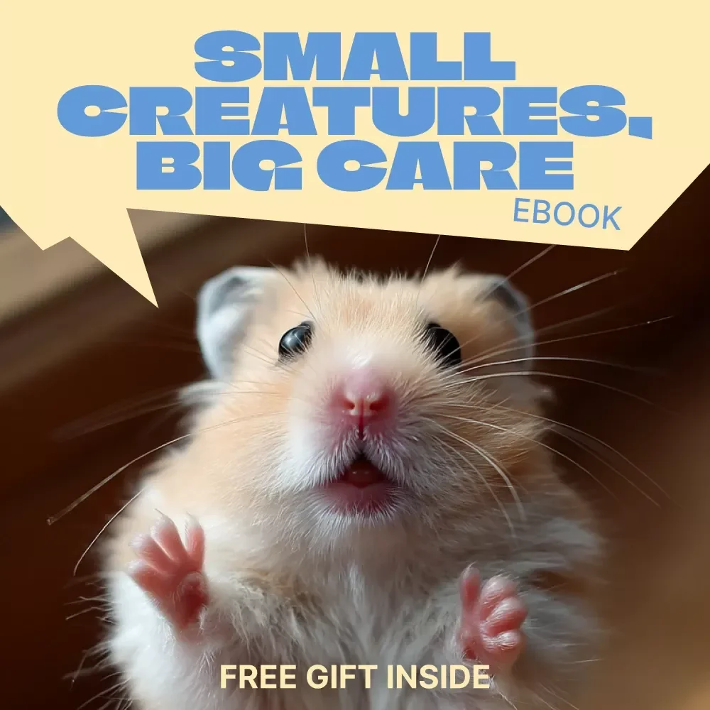 Small Creatures, Big Care – Exotic Pet Care Basics eBook for Beginners | Complete Guide to Habitat, Nutrition & Daily Care