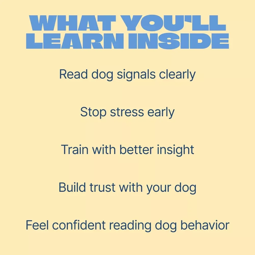 Learn to Read Your Dog Like a Pro – Digital Guide to Understanding Dog Behavior Signals for Calm, Confident Dog Owners