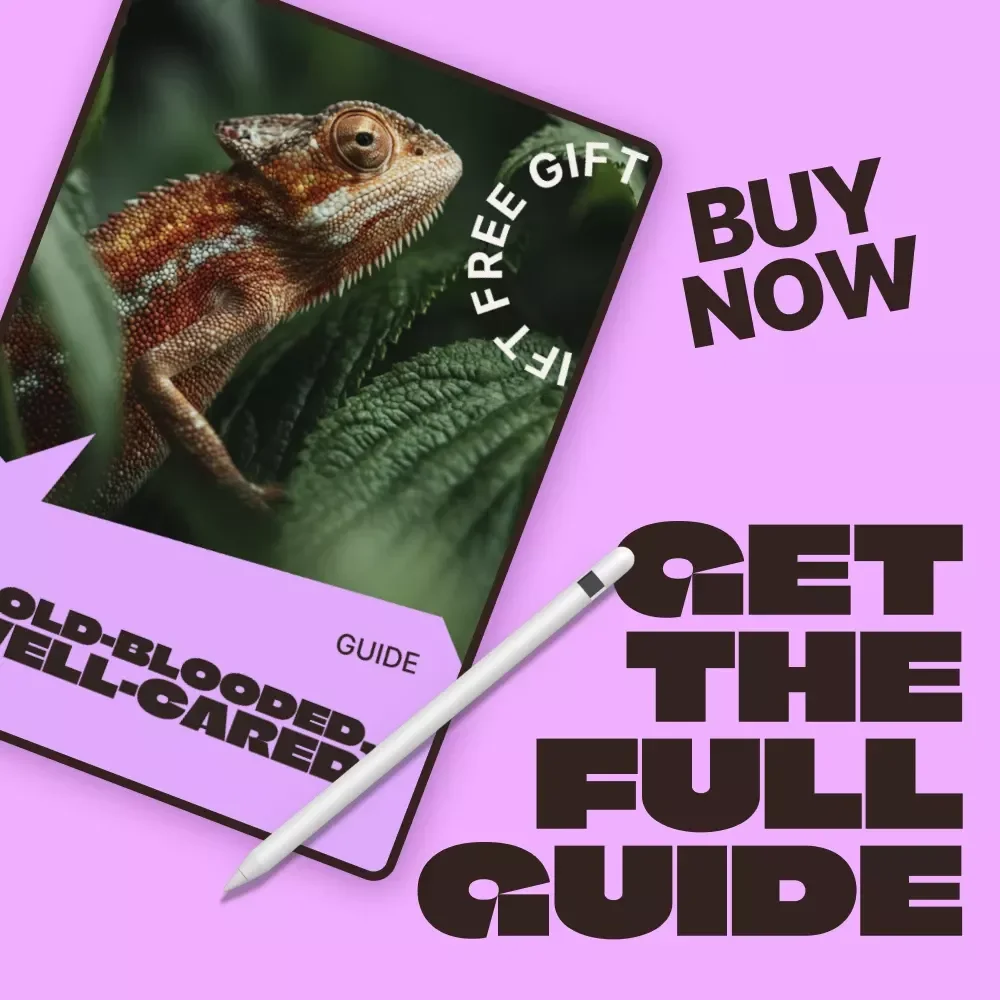 Cold-Blooded, Well-Cared | Reptile Care Beginner Guide for New Owners | Step-by-Step Habitat, Feeding & Daily Care Digital Guide