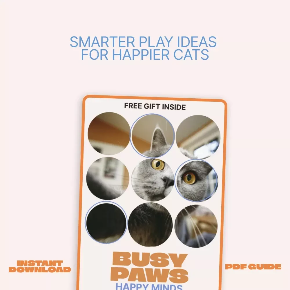 Busy Paws, Happy Minds – A Practical eBook Guide to Mental Stimulation Toys for Cats | Enrichment Ideas for Curious Cats