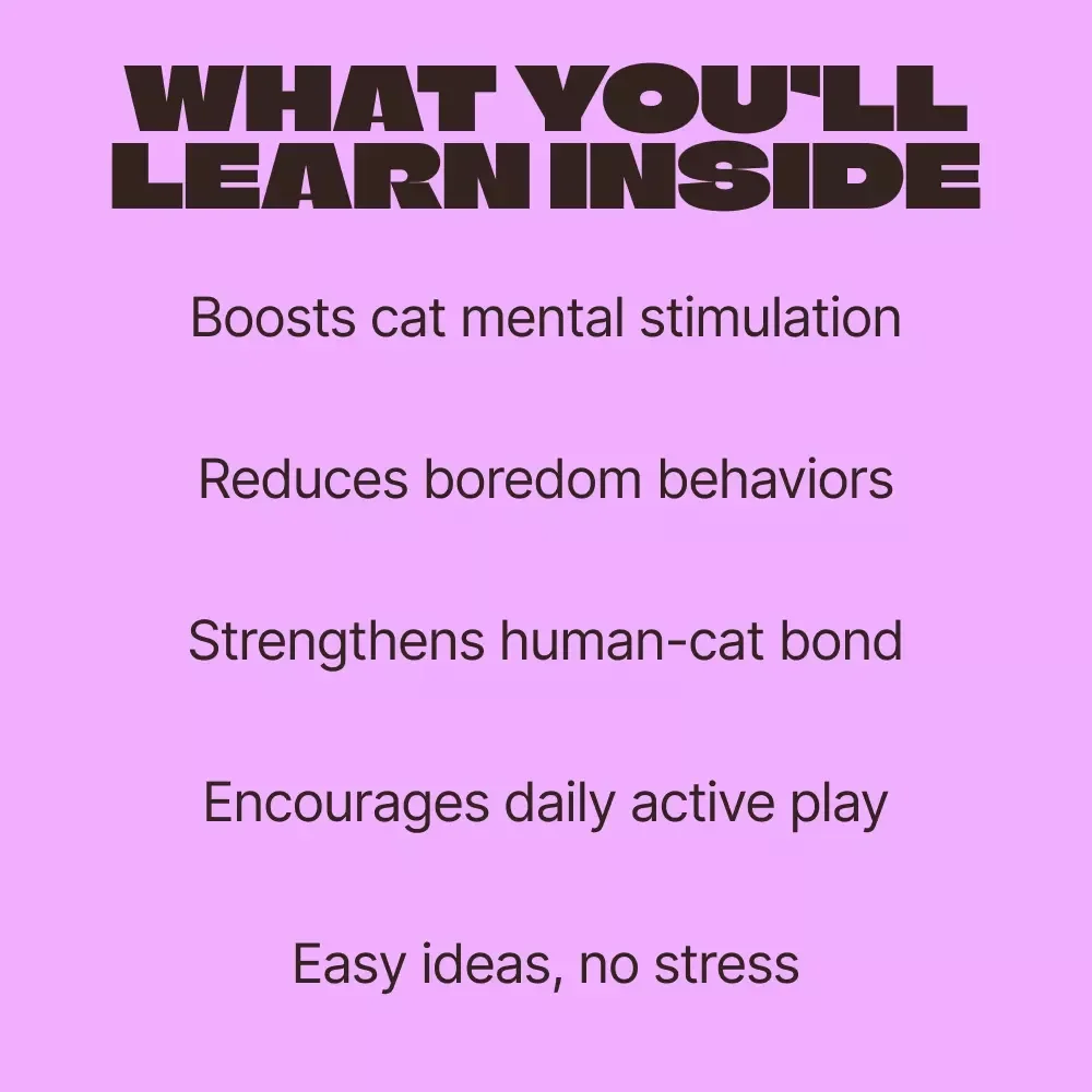 Creative Interactive Games for Your Cat | Ebook for Cat Owners | Interactive Play Ideas for Cats | Enrichment, DIY Toys & Smart Play Guide